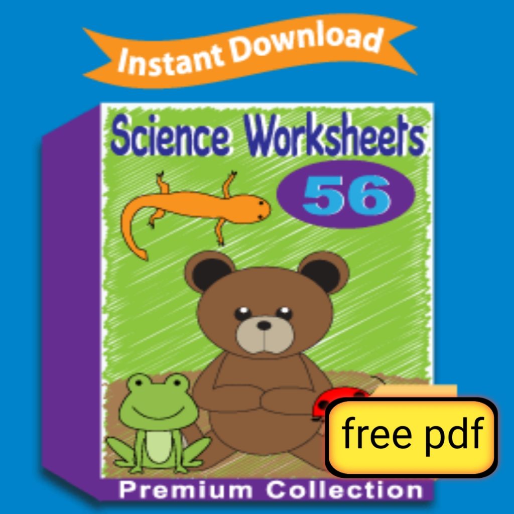 Science Worksheets